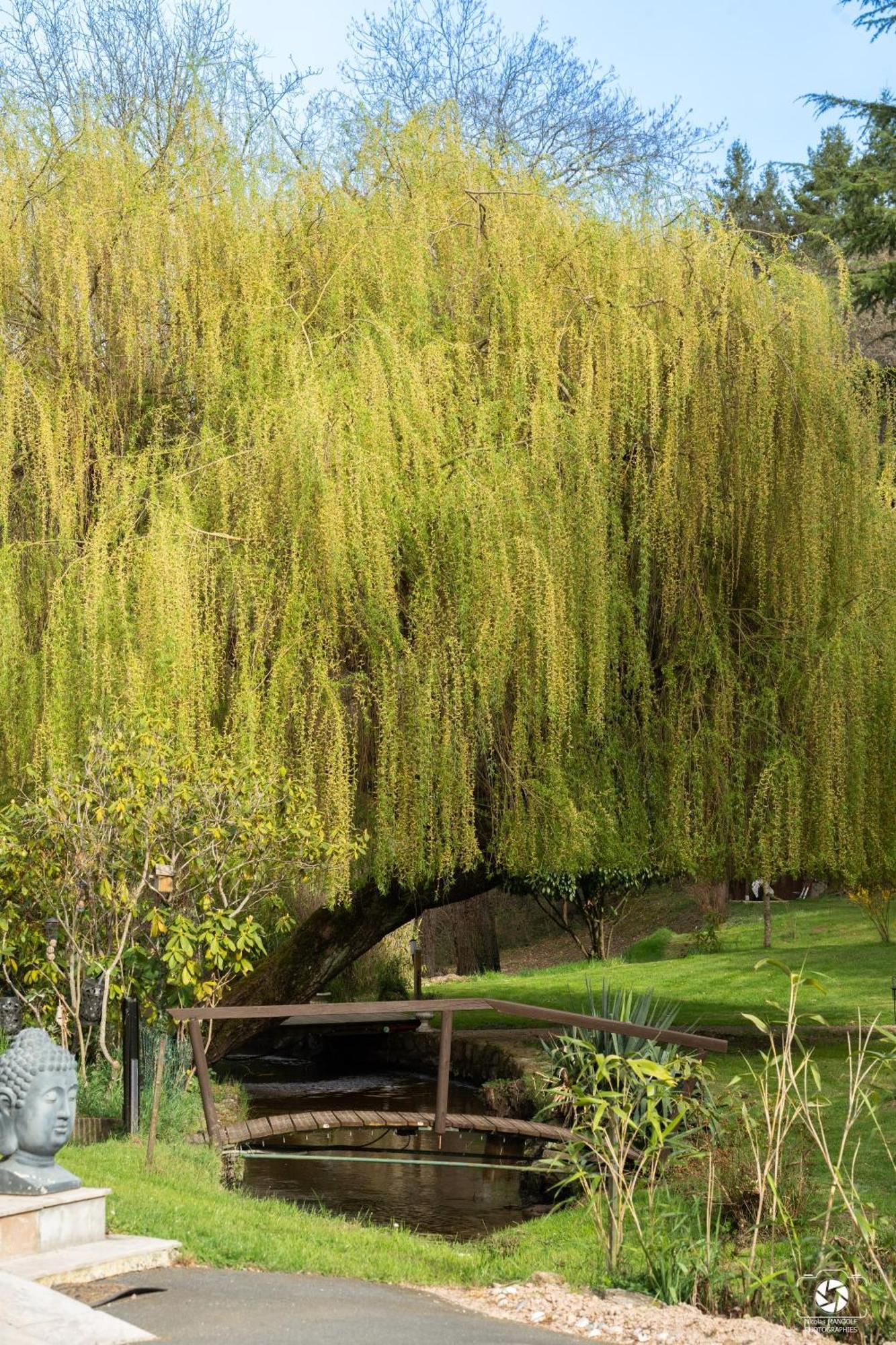 Le Moulin De La Vernoelle Gasthof